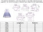 PREORDER INSPIRED ELSA DRESS